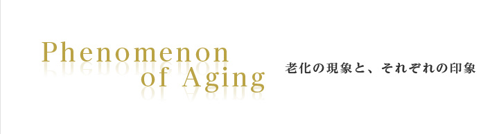 Phenomenon of Aging 老化の現象と、それぞれの印象