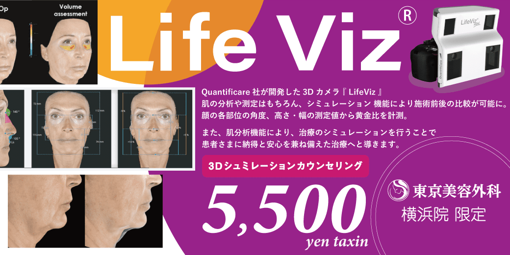 3Dシミュレーター「LifeViz」
