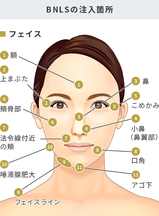 Bnls Neo 脂肪溶解 輪郭形成注射 美容整形は東京美容外科 Bnls Neo 脂肪溶解 輪郭形成注射 美容整形は東京美容外科