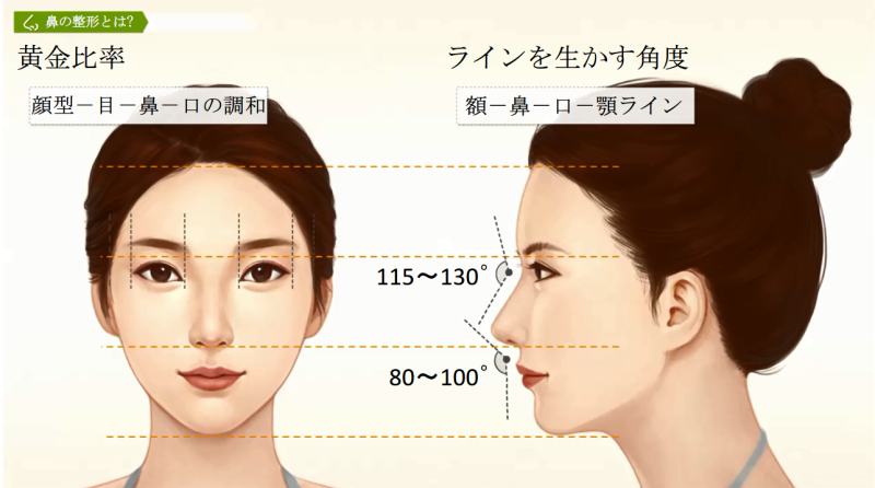 医師監修 自分に似合う鼻とは 女性の場合 美容整形は東京美容外科