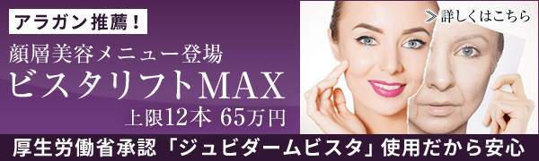 ビスタリフトMAX