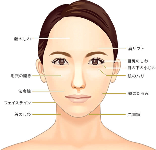 新宿の医療ハイフ Hifu おすすめ10選 人気で安いクリニックを紹介 東京美容クリニックマップ