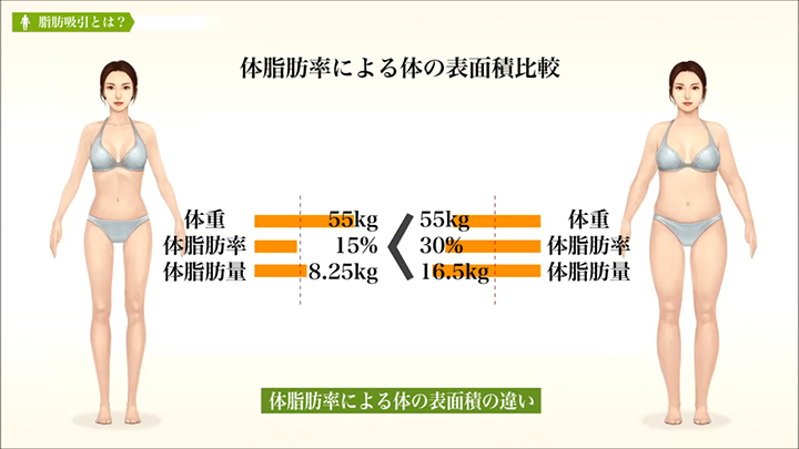 医師監修 脂肪吸引 体脂肪の特性 美容整形は東京美容外科