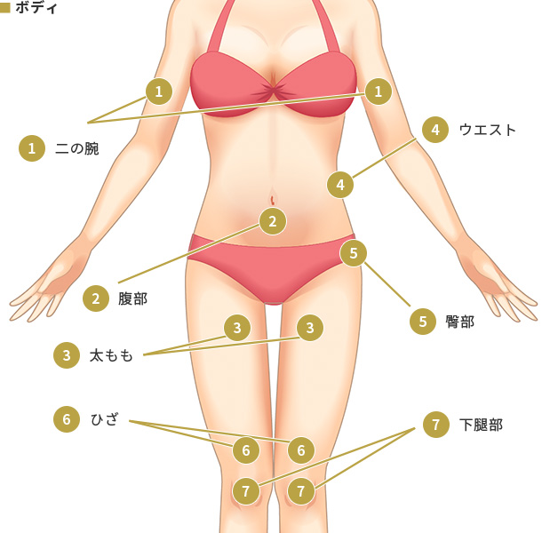 BNLSの注入箇所 ボディ