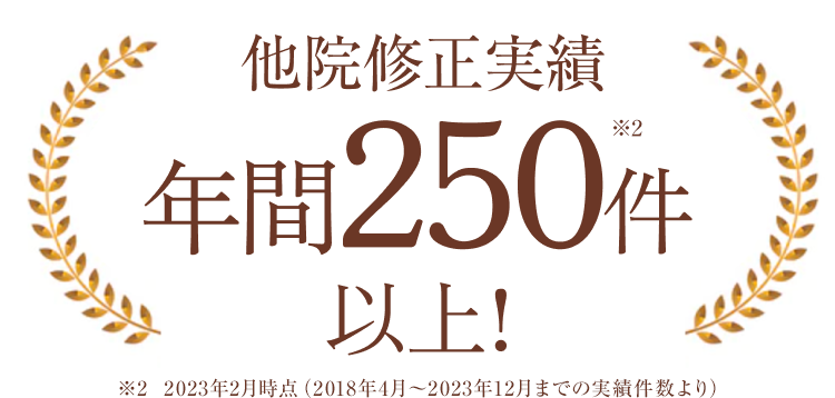  修正実績年間250件以上