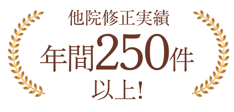  修正実績年間250件以上