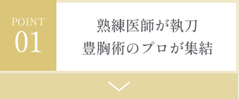 熟練医師が執刀！ 豊胸術のプロフェッショナルが集結