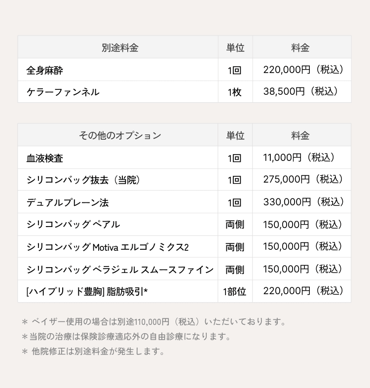 別途料金、その他オプション