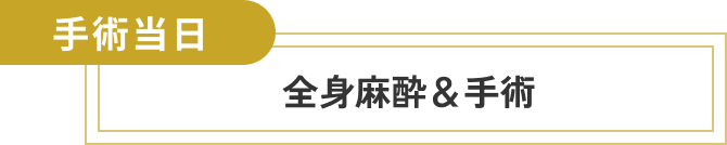  手術当日、全身麻酔&手術