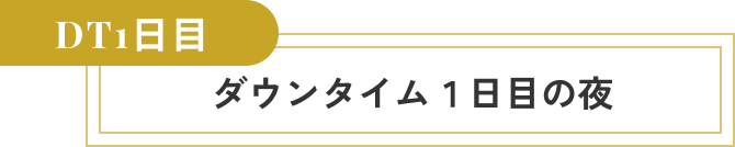  ダウンタイム1日目、ダウンタイム1日目の夜