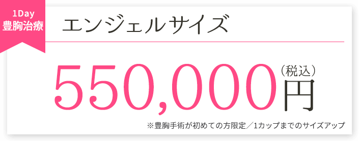 エンジェルサイズ550,000円（税込）