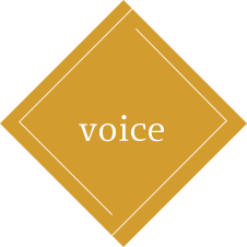 voice