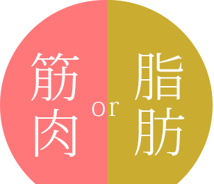 筋肉or脂肪?