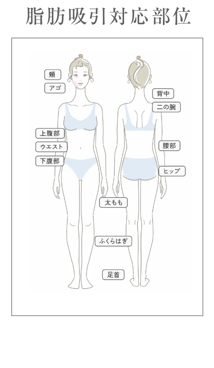 対応部位
