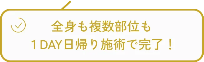 全身日帰り施術可能