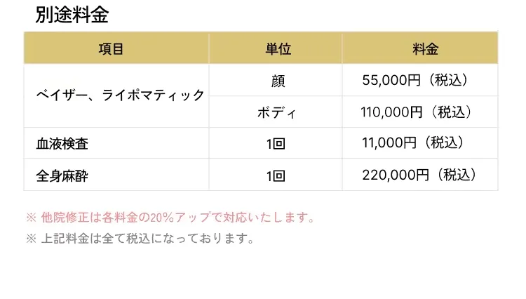  その他オプション