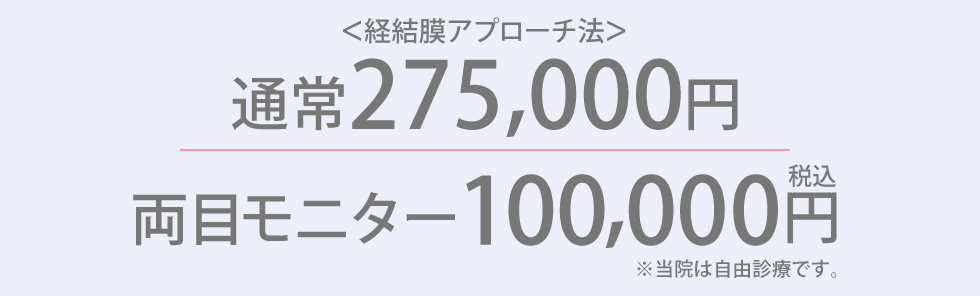 両目モニター10万円(税込)