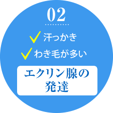 2.汗っかき わき毛が多い エクリン腺の発達