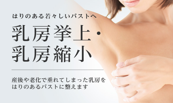 乳房挙上 乳房縮小 美容整形は東京美容外科
