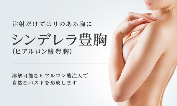 ヒアルロン酸豊胸の シンデレラ豊胸 美容整形は東京美容外科